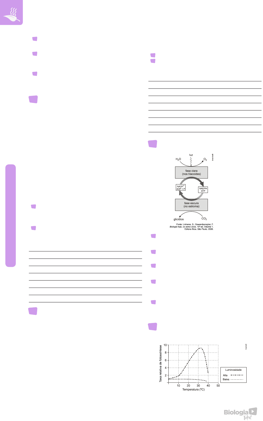 Material Genético Extranuclear, image size:1026x1641