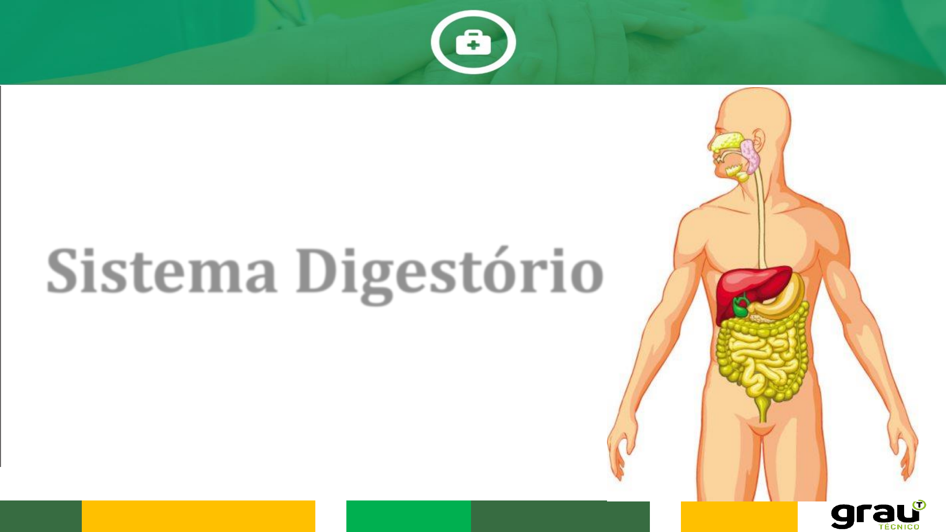 PPT - FISIOLOGIA DO SISTEMA DIGESTÓRIO PowerPoint Presentation