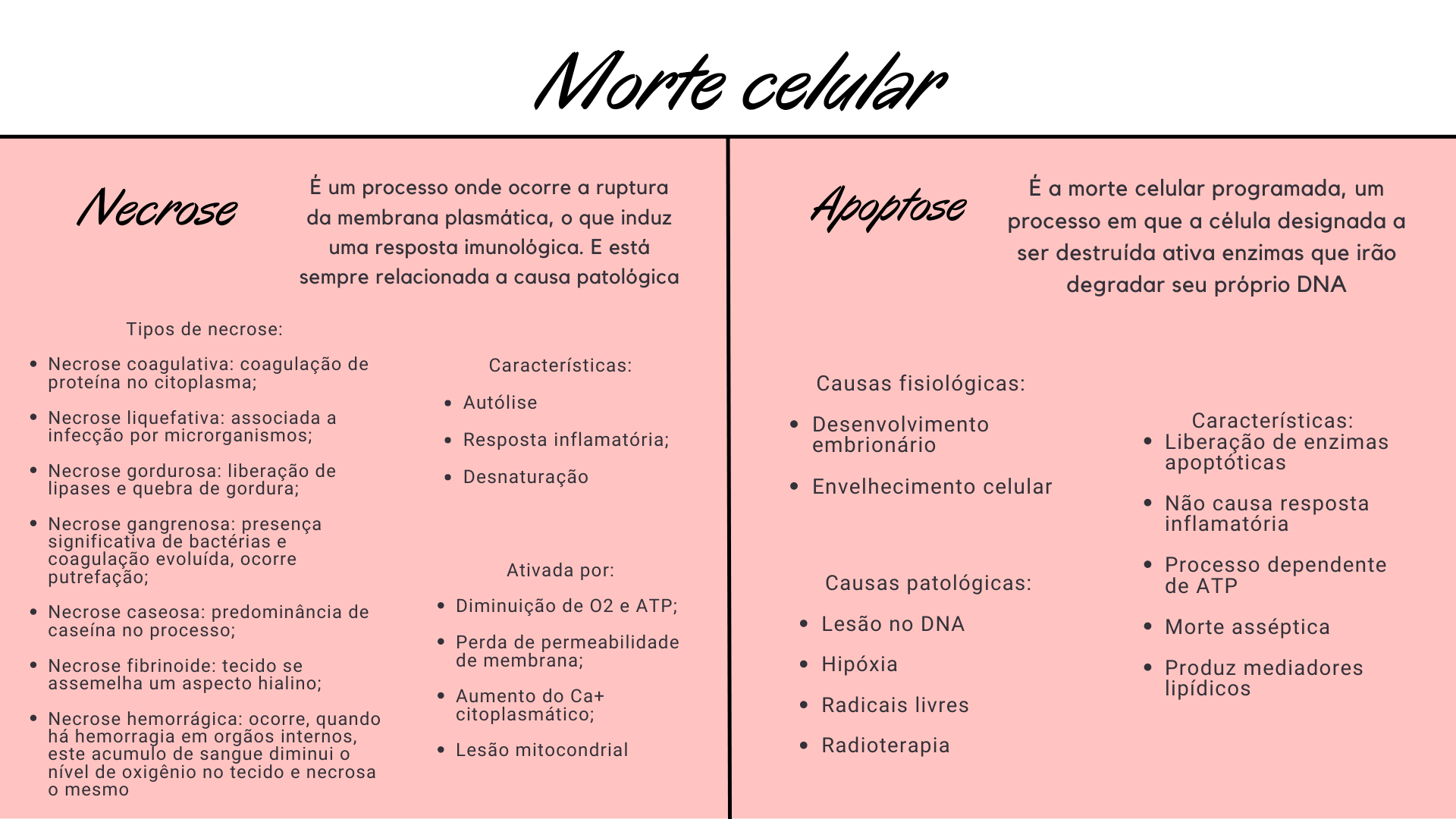 Morte Celular - Necrose X Apoptose - Patologia Humana