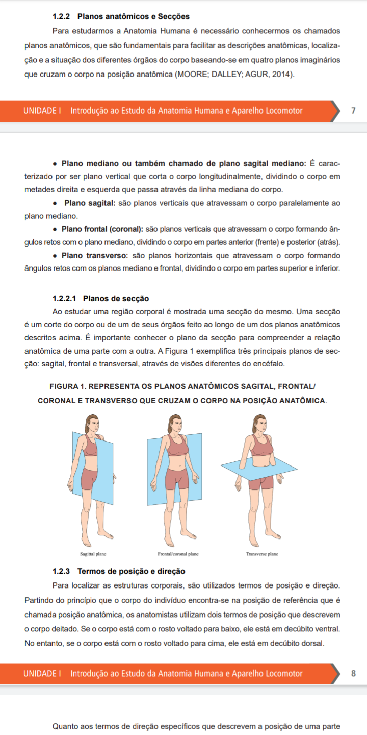 Anatomia Humana - Farmácia