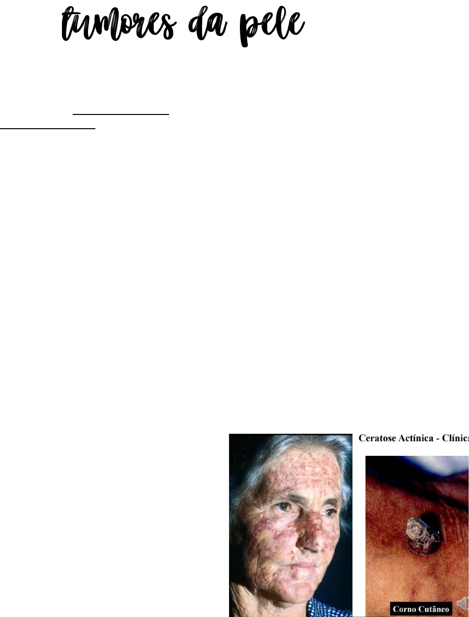 Anatomia e Fisiologia dos Sistemas Endócrino, Reprodutor e Tegumentar, image size:954x1256