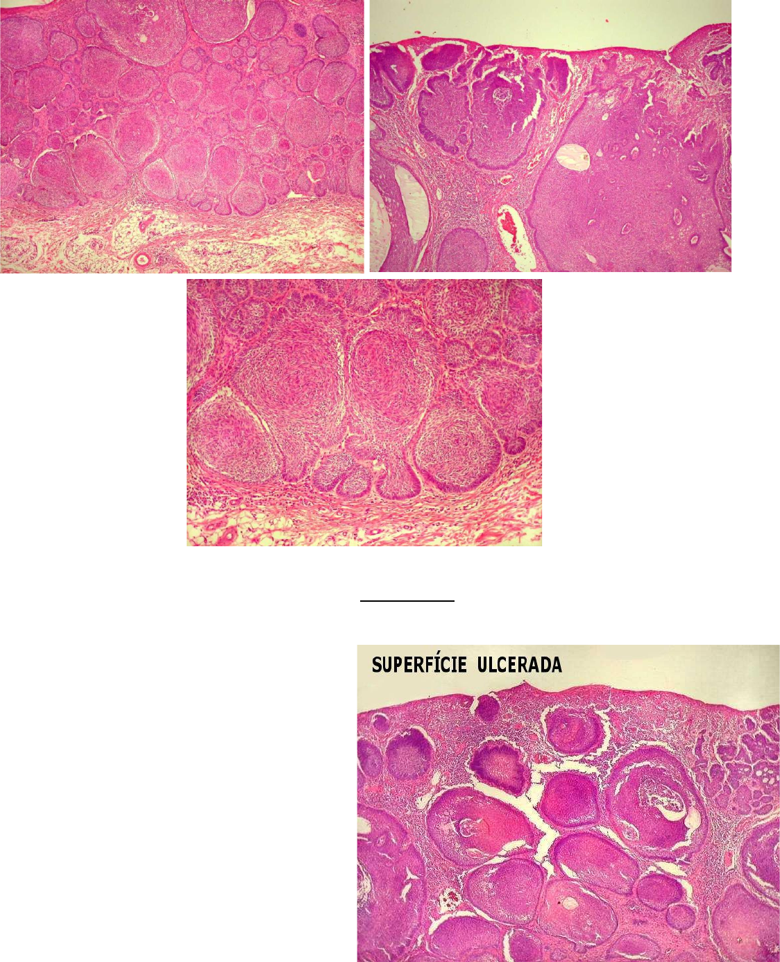 Instituto de Ultrassonografia (@institutodeusg) · Goiânia, GO, image size:1124x1386