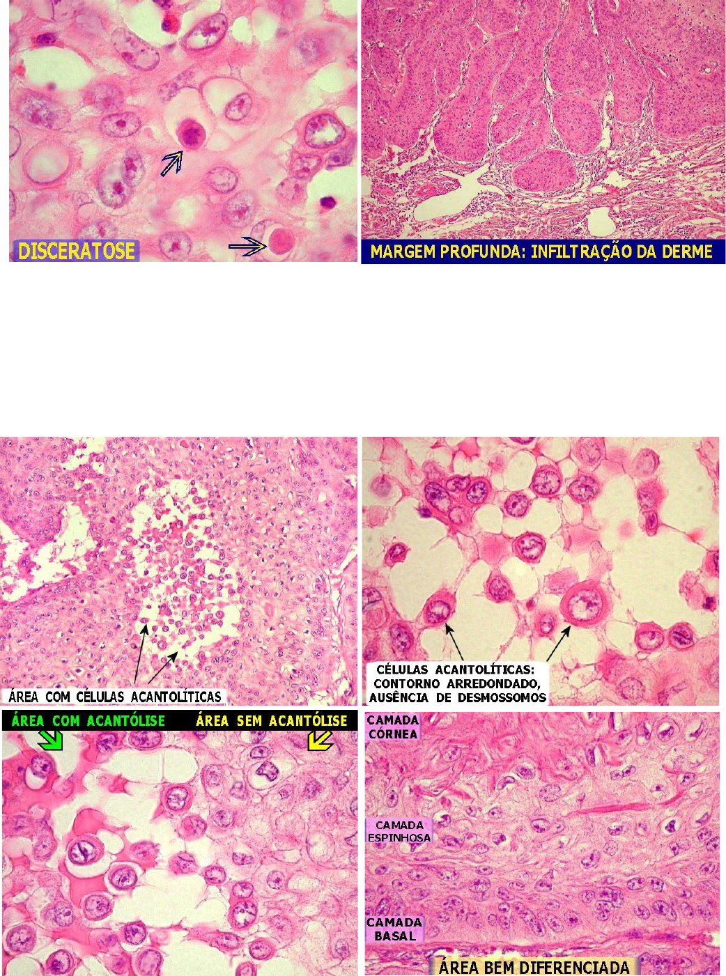1 000 Questões Comentadas de Concursos e Residências em Medicina | PDF |  Carreira e Crescimento, image size:1042x1401