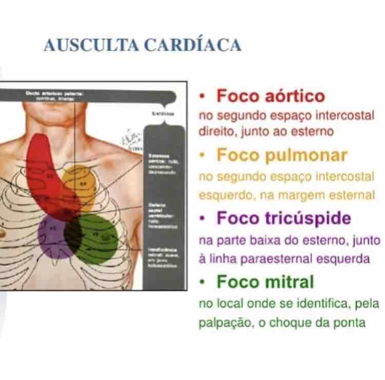 Focos Ausculta - Urgencia E Emergencia Em Primeiros Socorr