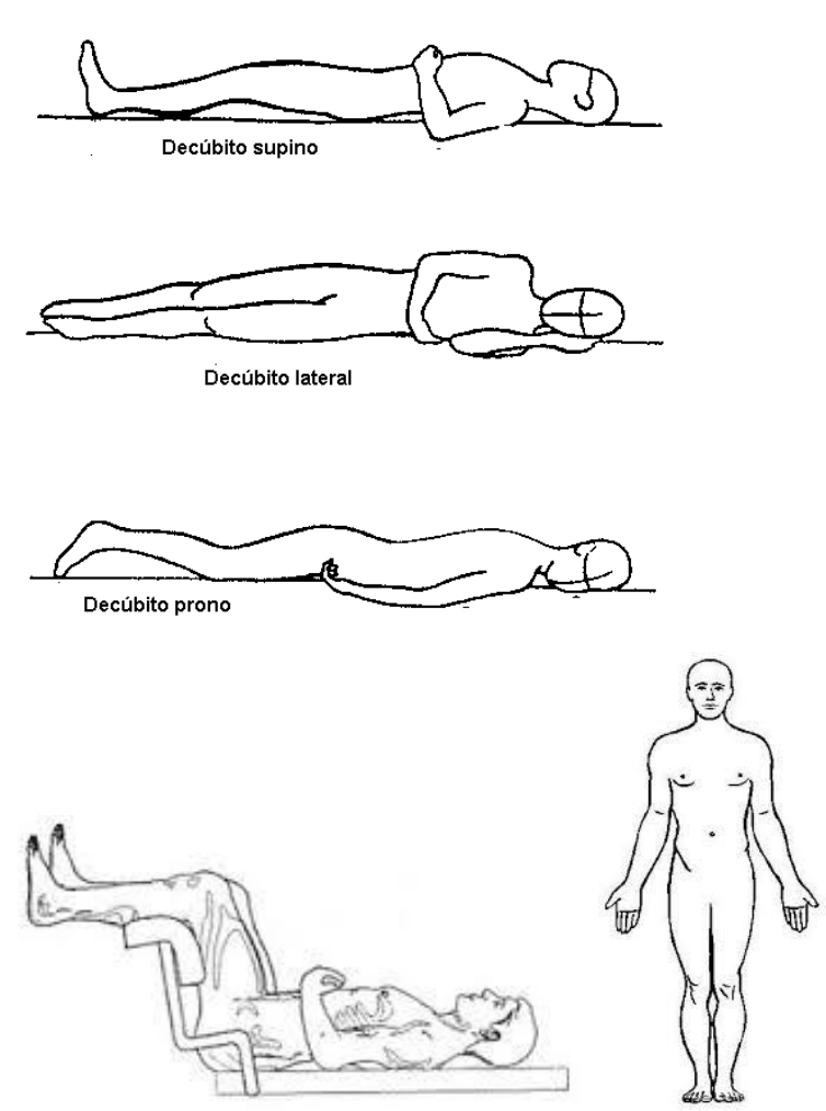 Como Começar: Decúbito Dorsal Ou Ventral? – VJTUMA