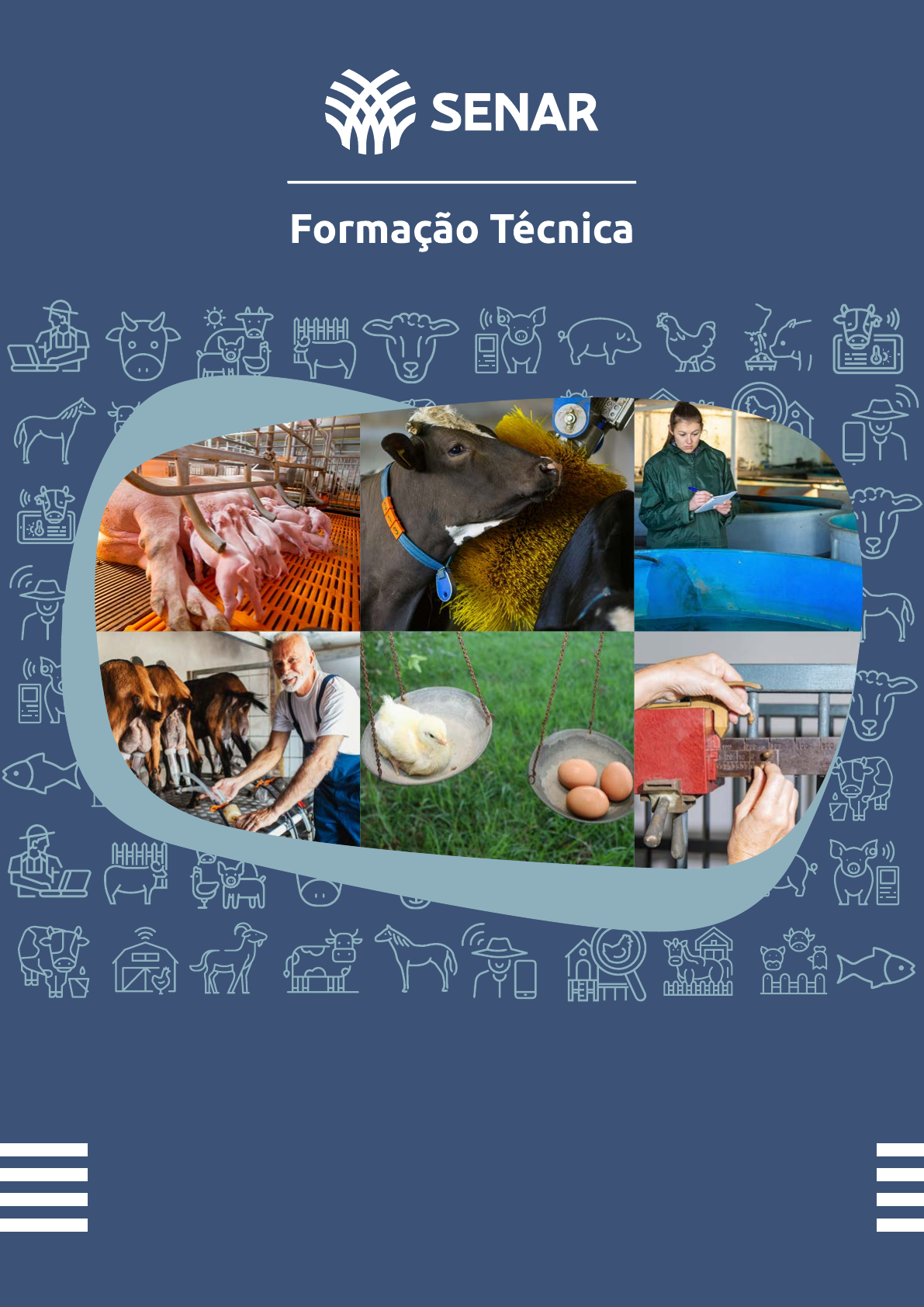 Grátis: 2 01 Apostila Gestao da Producao, do Manejo e do Bem-estar Animal -  Material Claro e Objetivo em PDF para Estudo Rápido