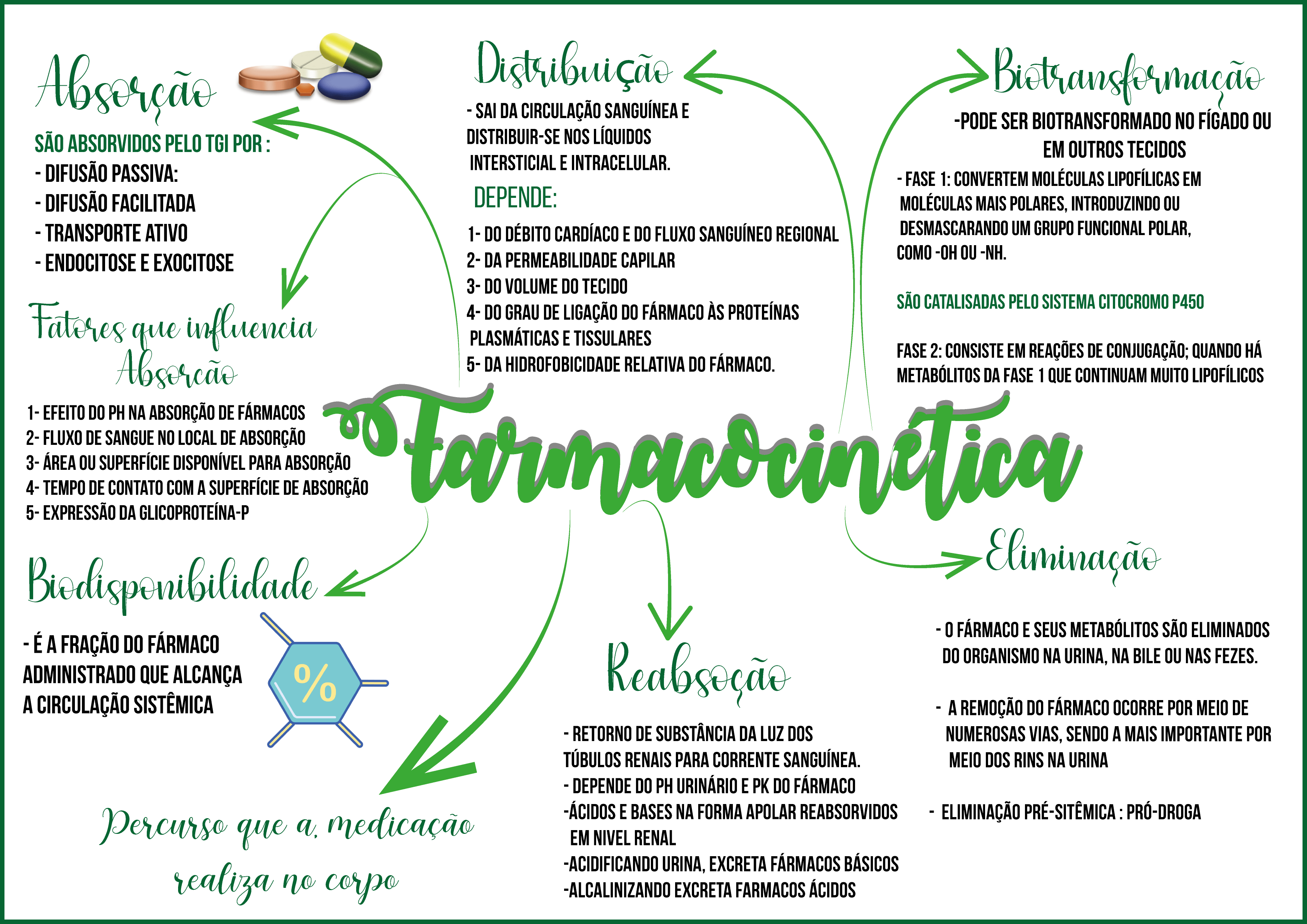 mapa-mental-farmacocinética - Farmacologia I