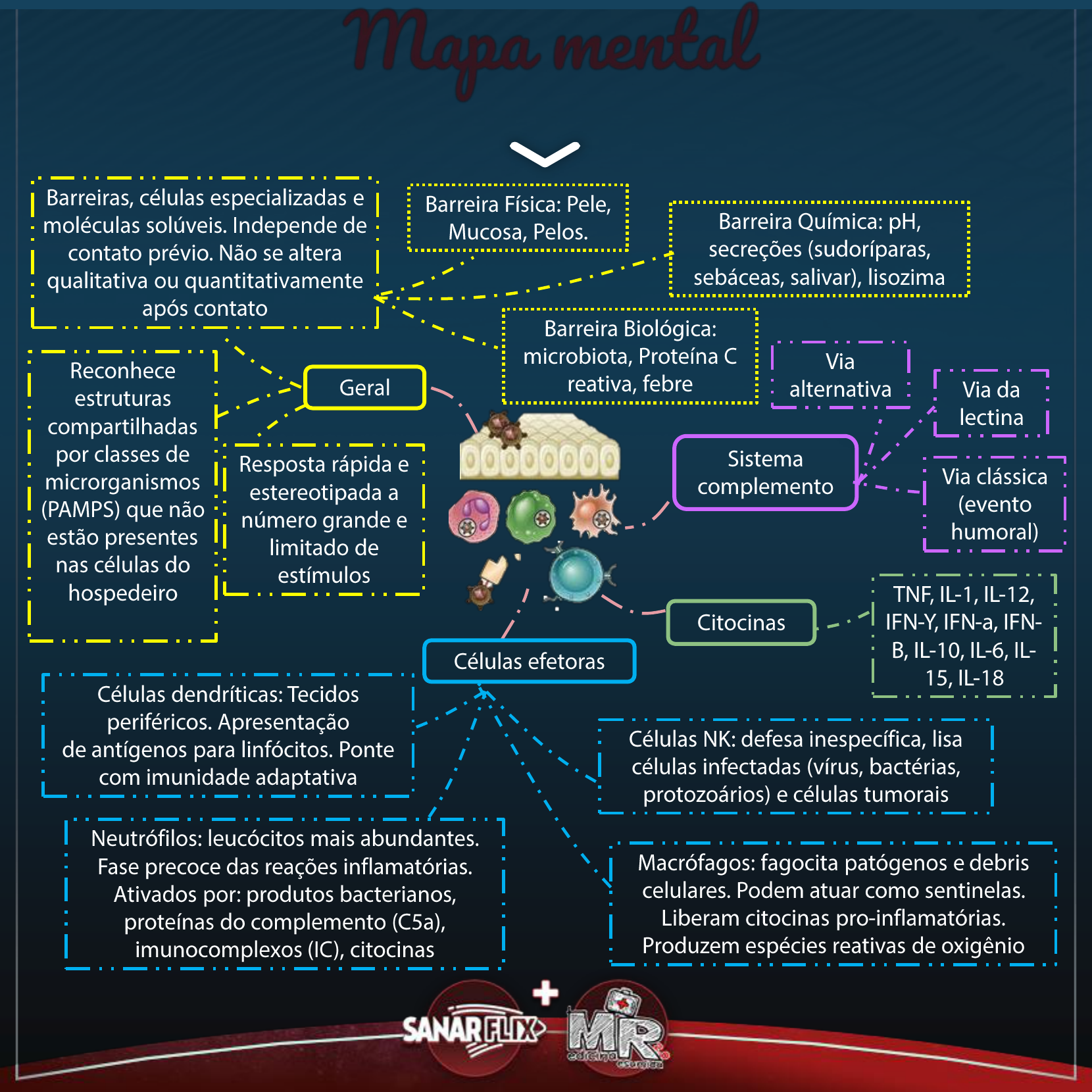 Mapa Mental Imunidade Inata - Imunologia