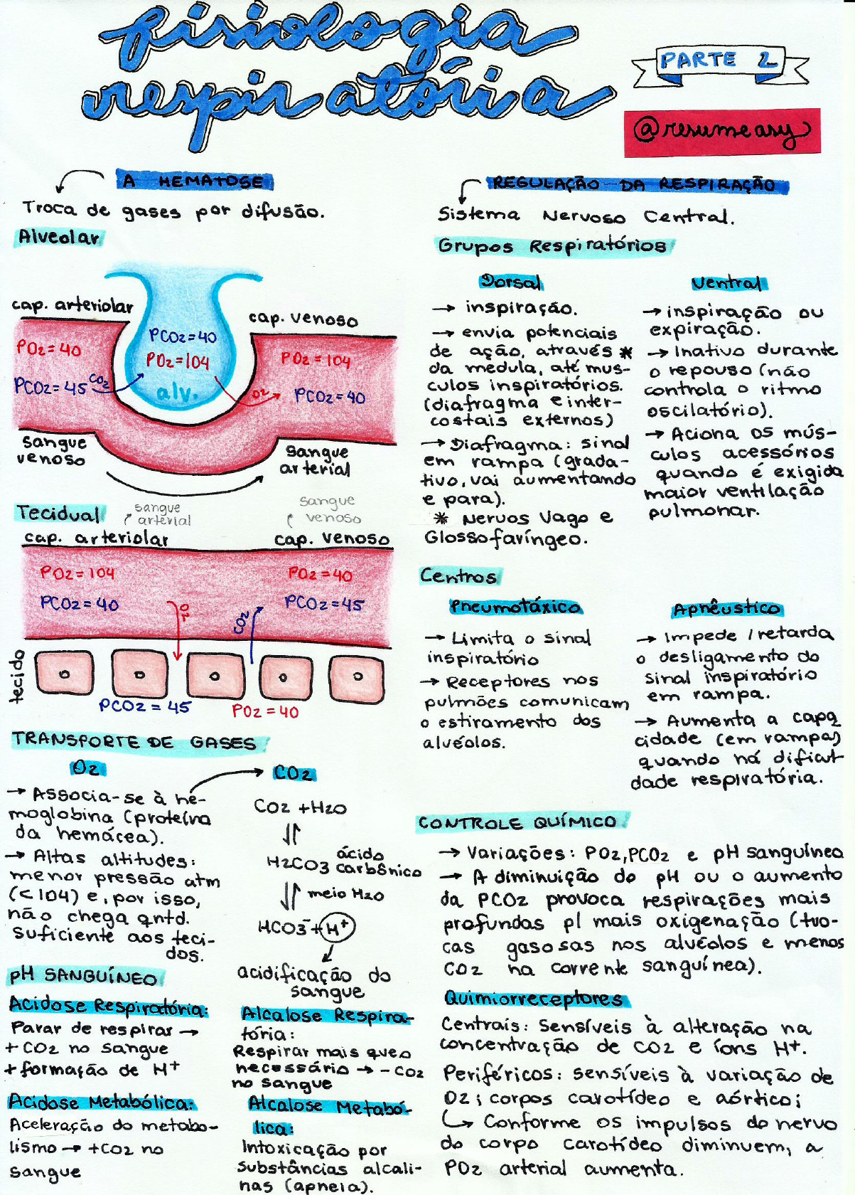 Fisiologia Respiratória Mapa Mental