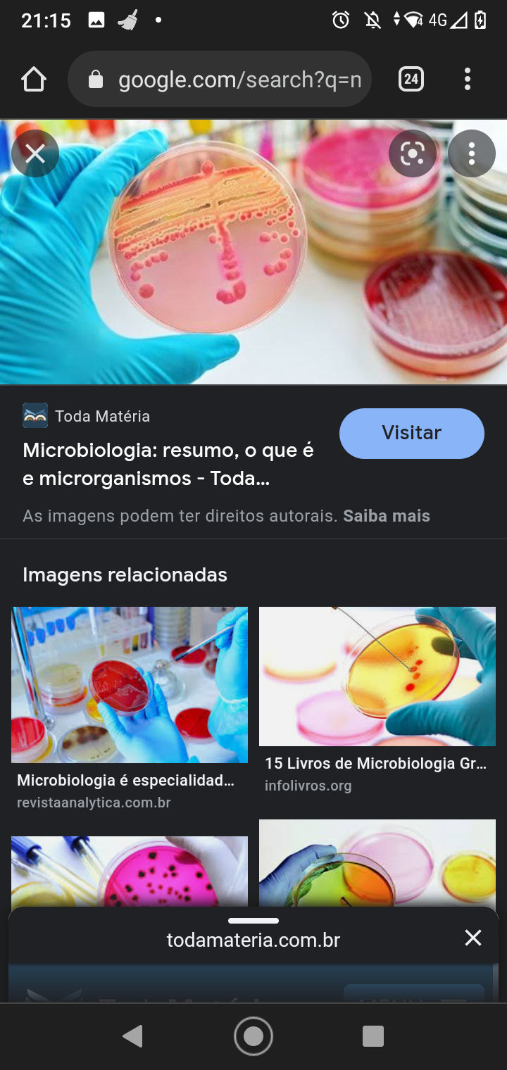 B - Microbiologia