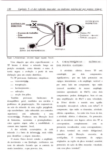 Ponto Gatilho Pdf Terapia Manual 6