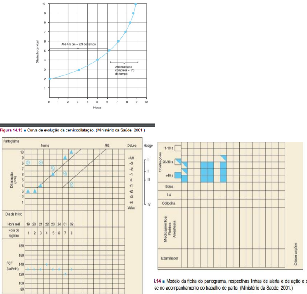 Grátis: Resumão de obstetrícia - Material Claro e Objetivo em PDF para  Estudo Rápido, image size:1025x982