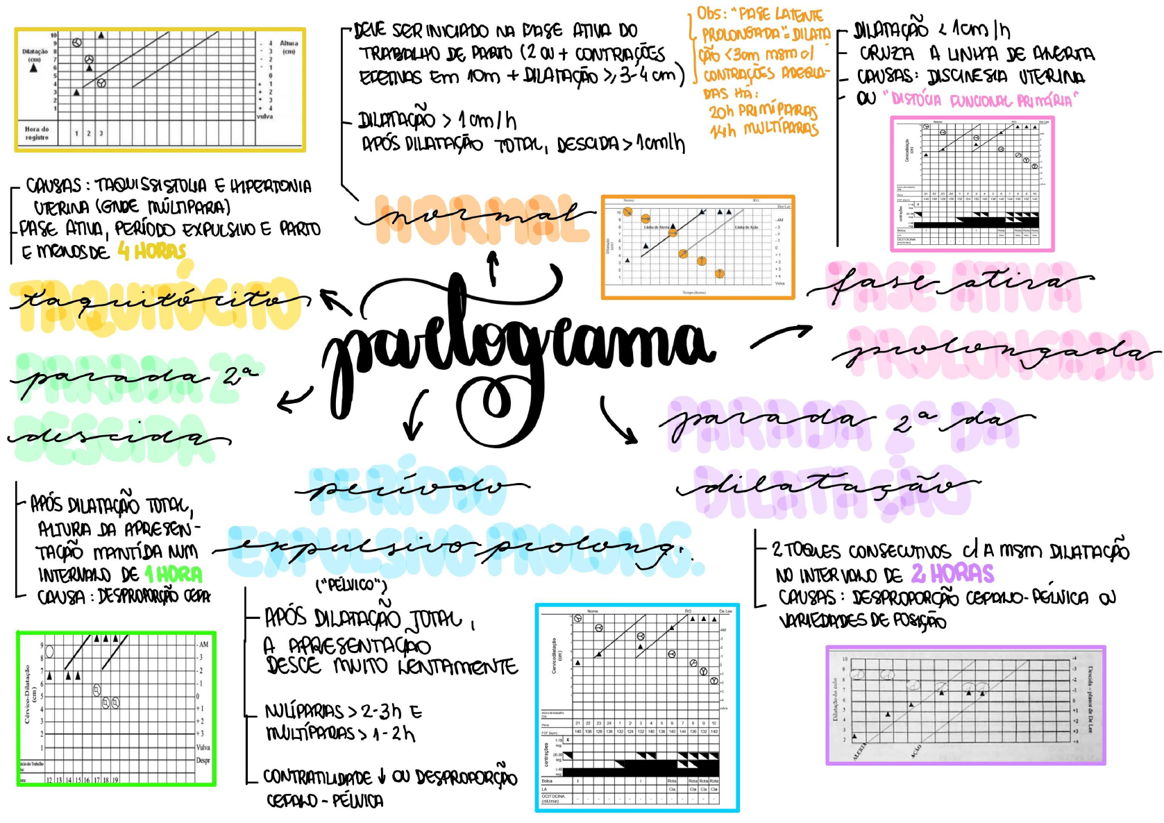 Partograma Mapa Mental Ginecologia E Obstetrícia 0889