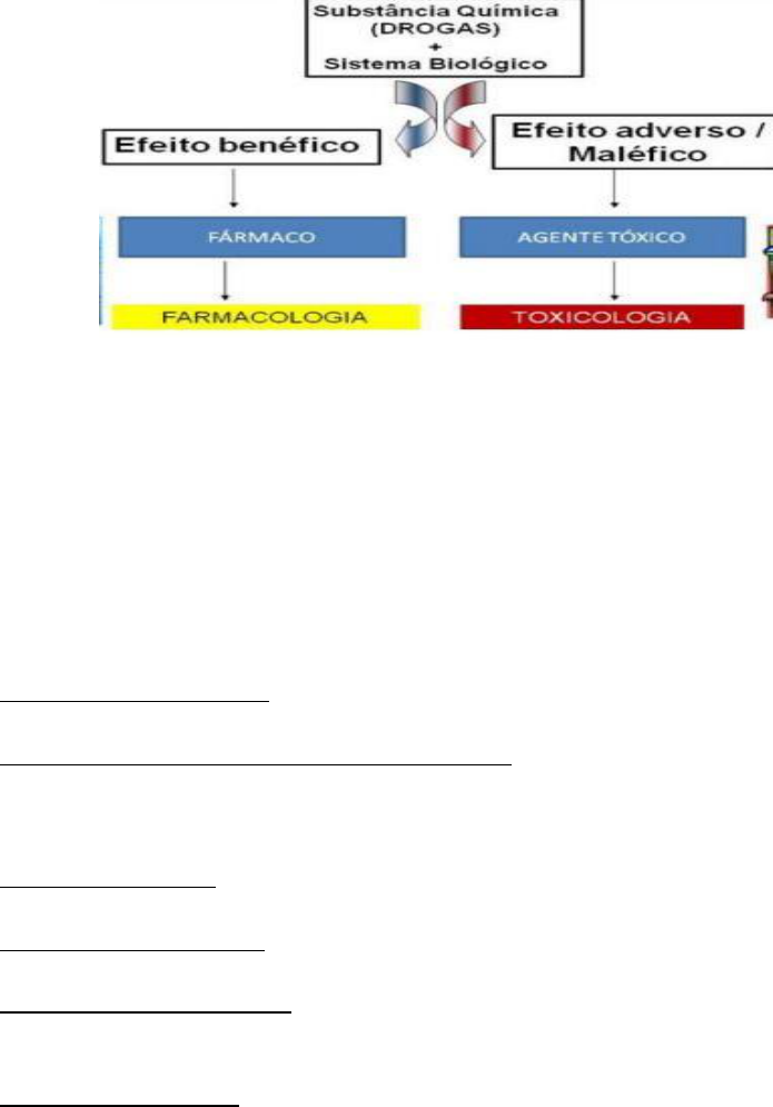 Resumo de Introdução a Toxicologia