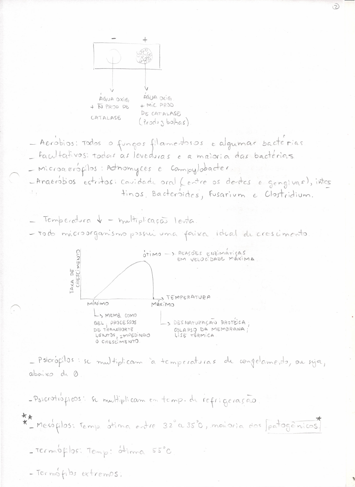 Caderno Microbiologia Microbiologia 16