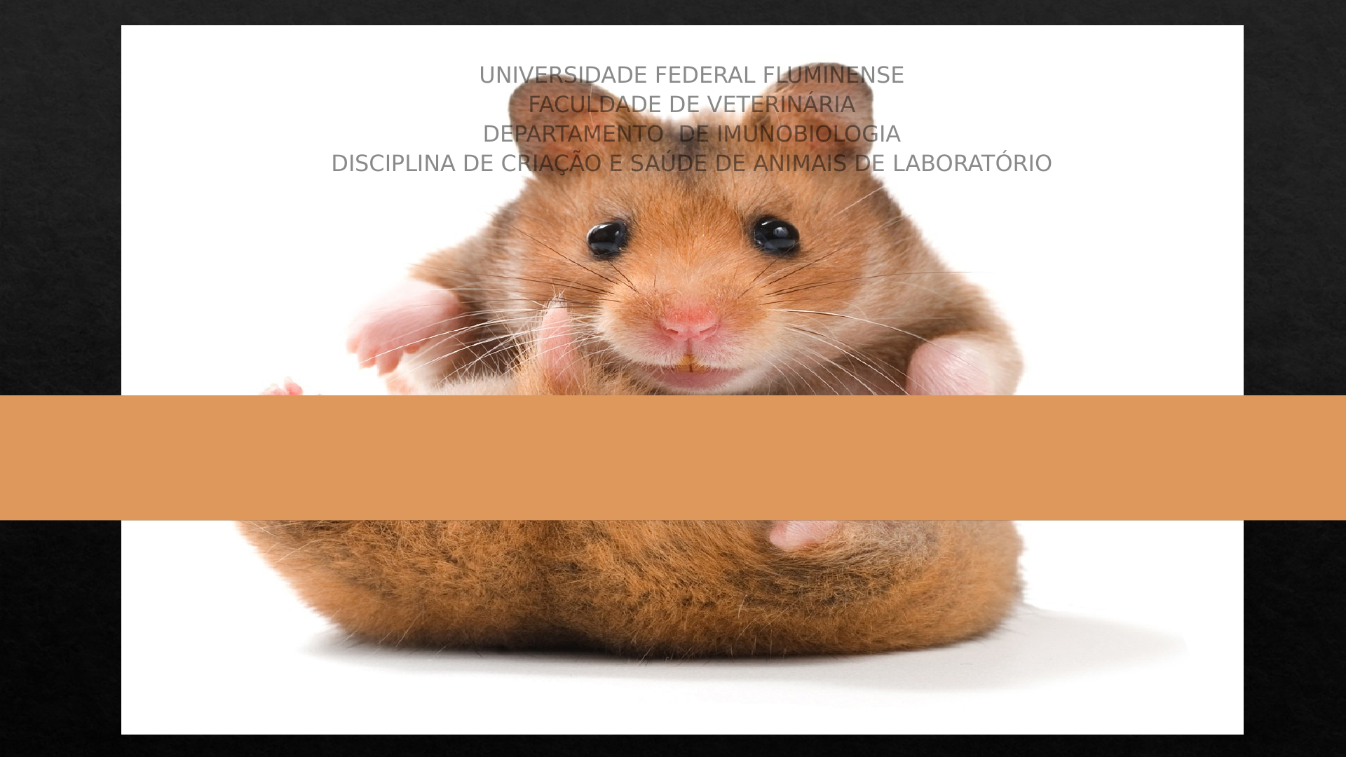 Age of Laboratory Hamster and Human: Drawing the Connexion – Biomedical and  Pharmacology Journal