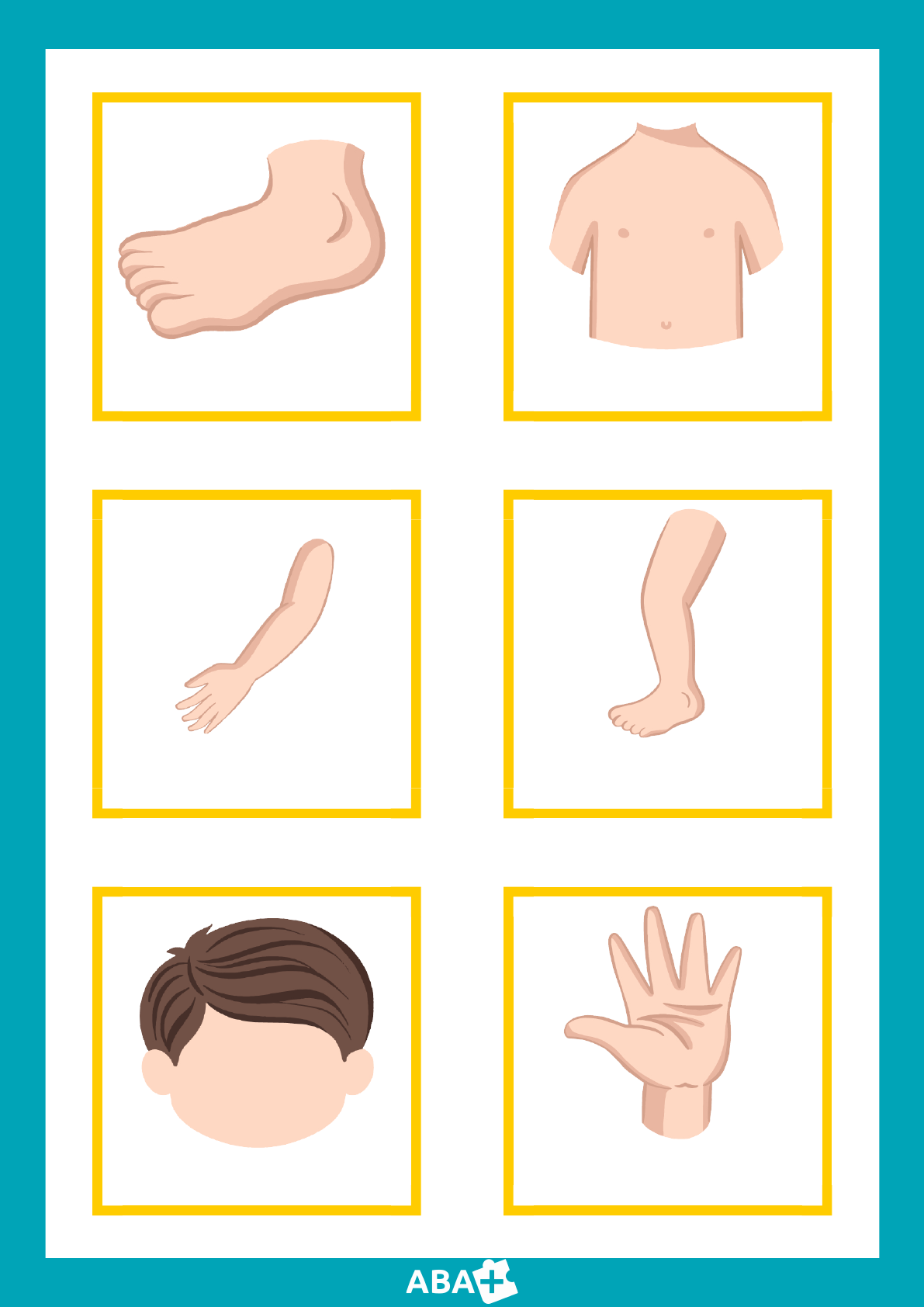 Grátis: Partes do Corpo Humano - Material Claro e Objetivo em PDF para  Estudo Rápido, image size:1191x1684