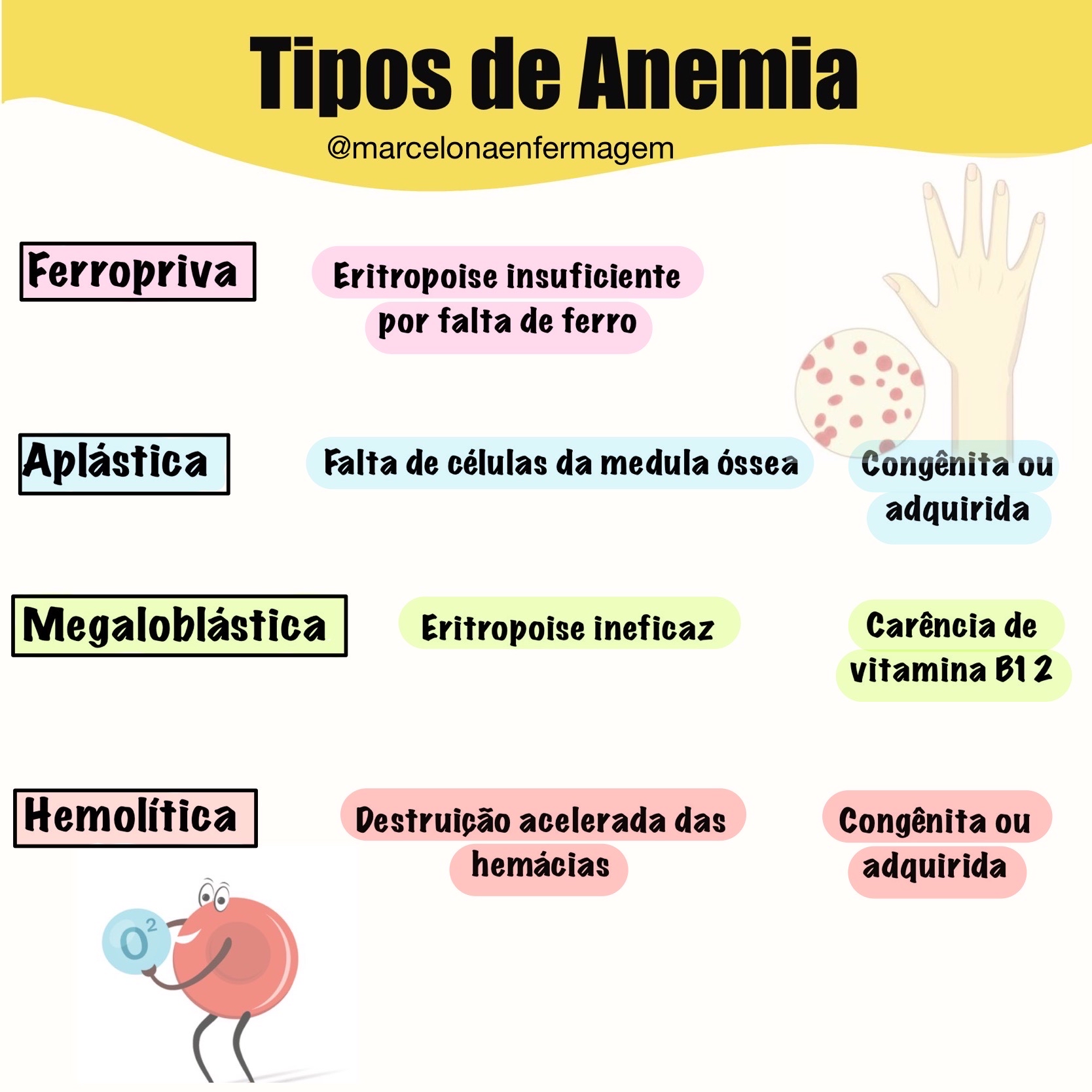 Tipos De Anemia Anemia 