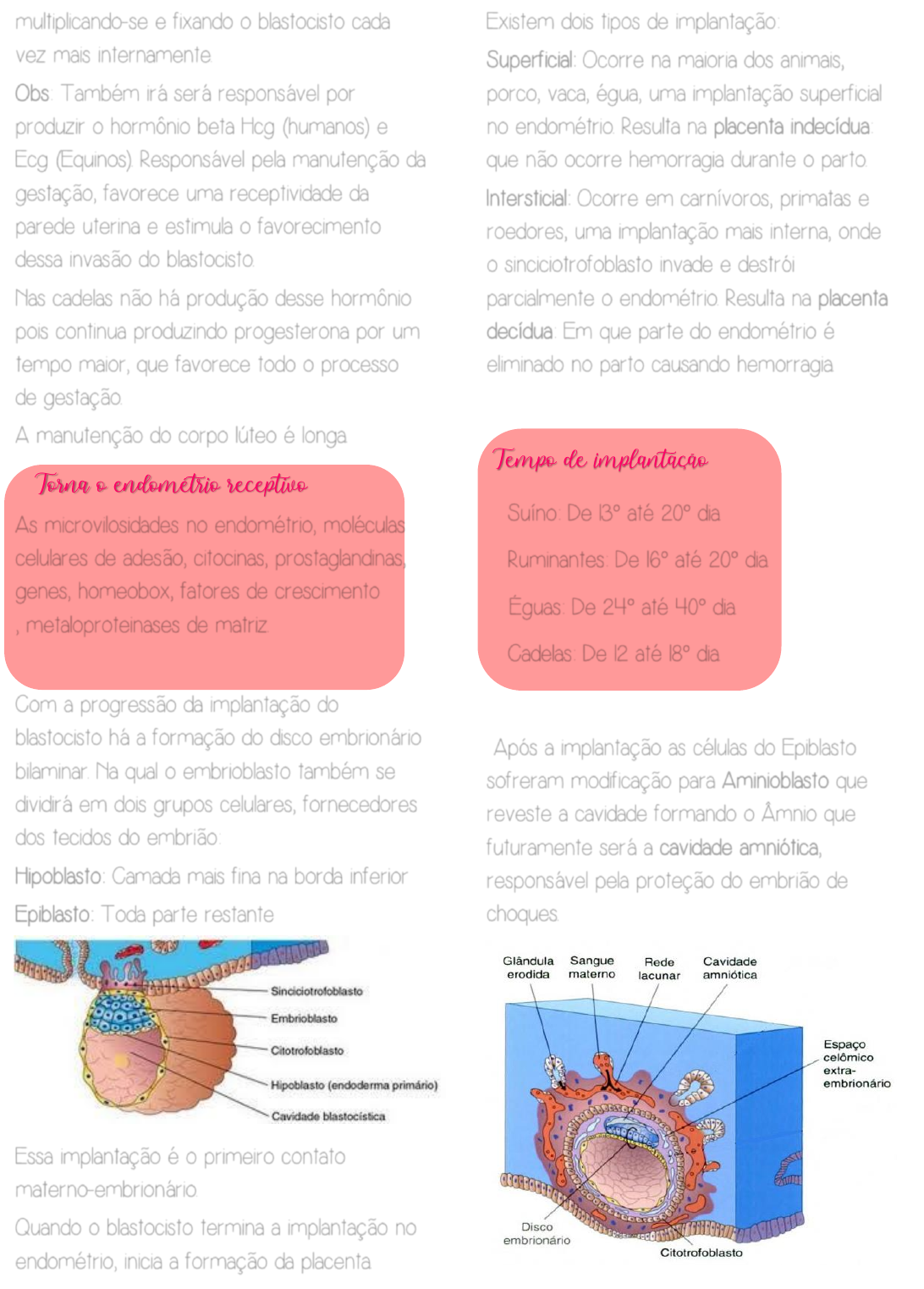Grátis: Embriologia Completo - Material Claro e Objetivo em PDF para Estudo  Rápido, image size:1092x1523