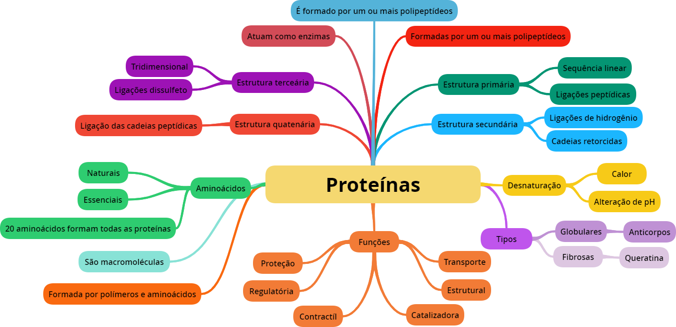 Mapa Mental De ProteÍnas Química De Alimentos 6263