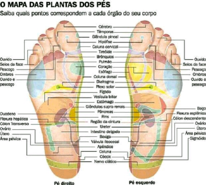 filme do resumo,bicho de sete cabeças Português filme do resumo,bicho de sete cabeças Português