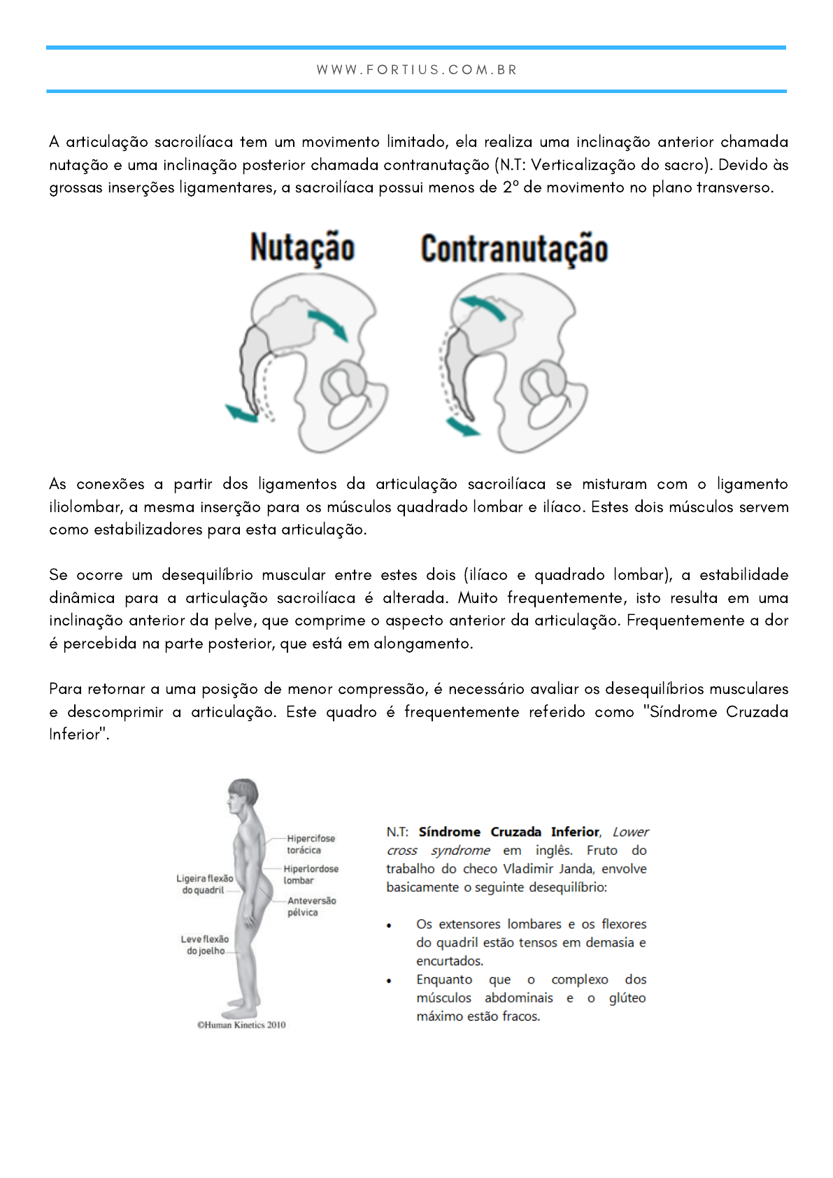 Limatreinamento: Desequilíbrio de Força entre Músculo e Tendão