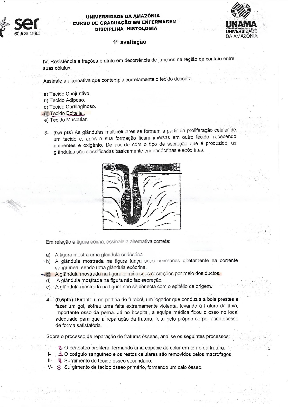 Avalia O De Histologia Histologia I