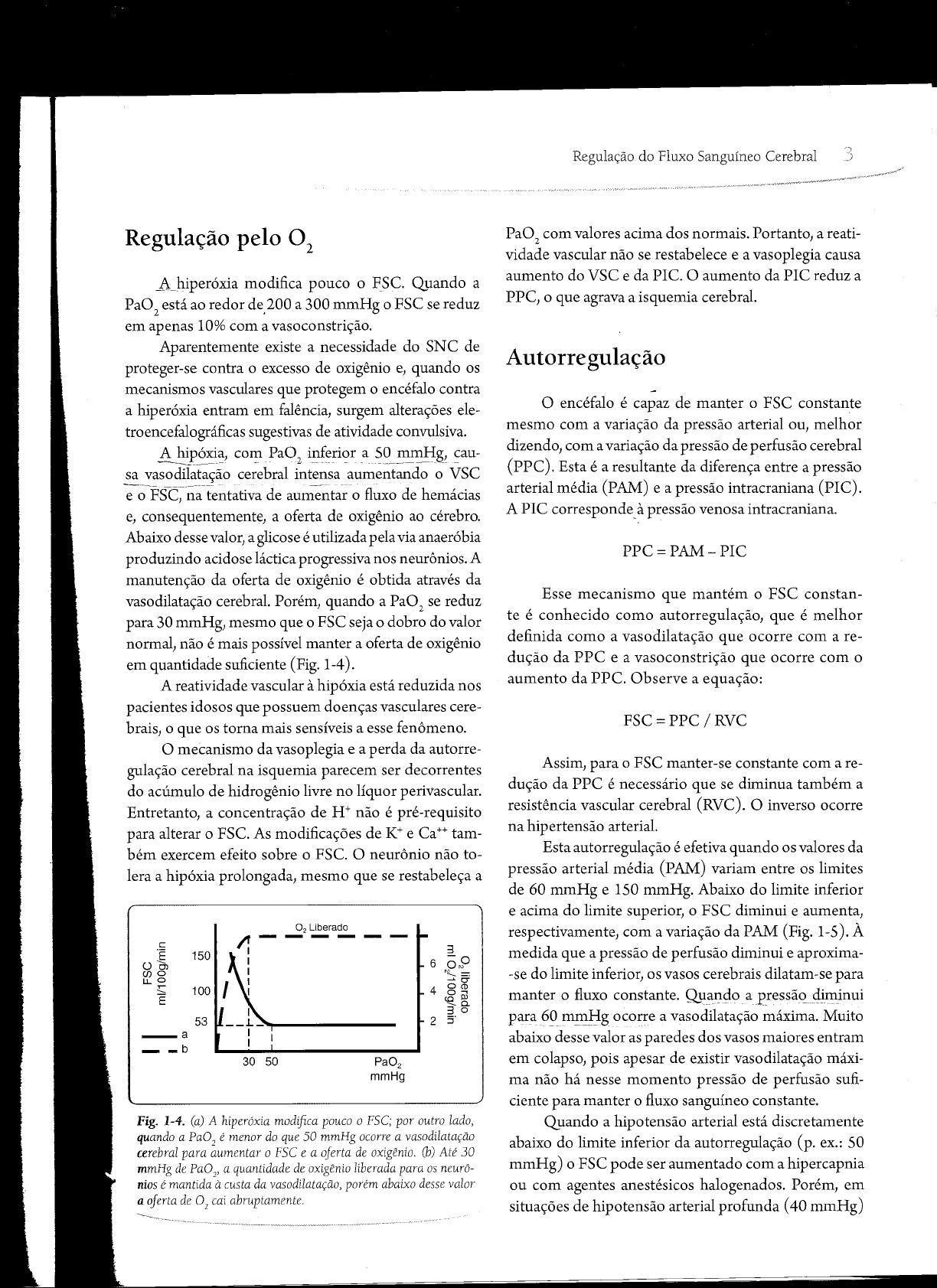 Regulacao Do Fluxo Sanguineo Cerebral Neurociencias E Neurologia 2