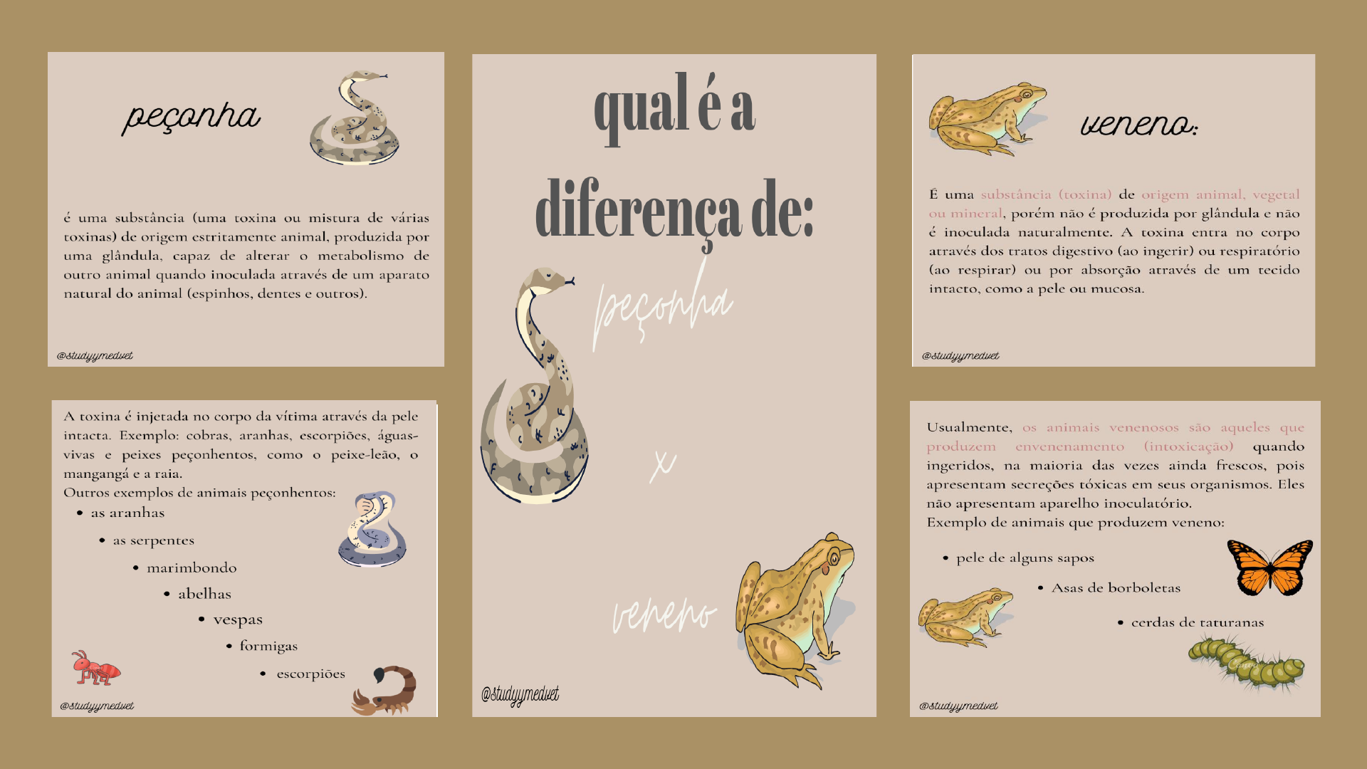 Diferença Entre Peçonha E Veneno - GITEDU