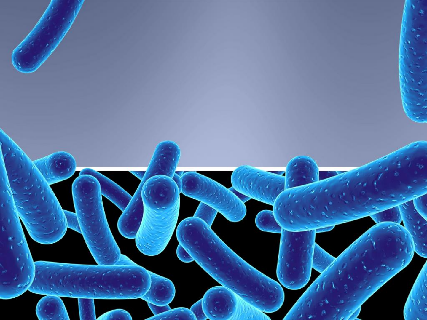 Grátis: 31 JOGOS SOBRE O REINO MONERA - Material Claro e Objetivo em PDF  para Estudo Rápido