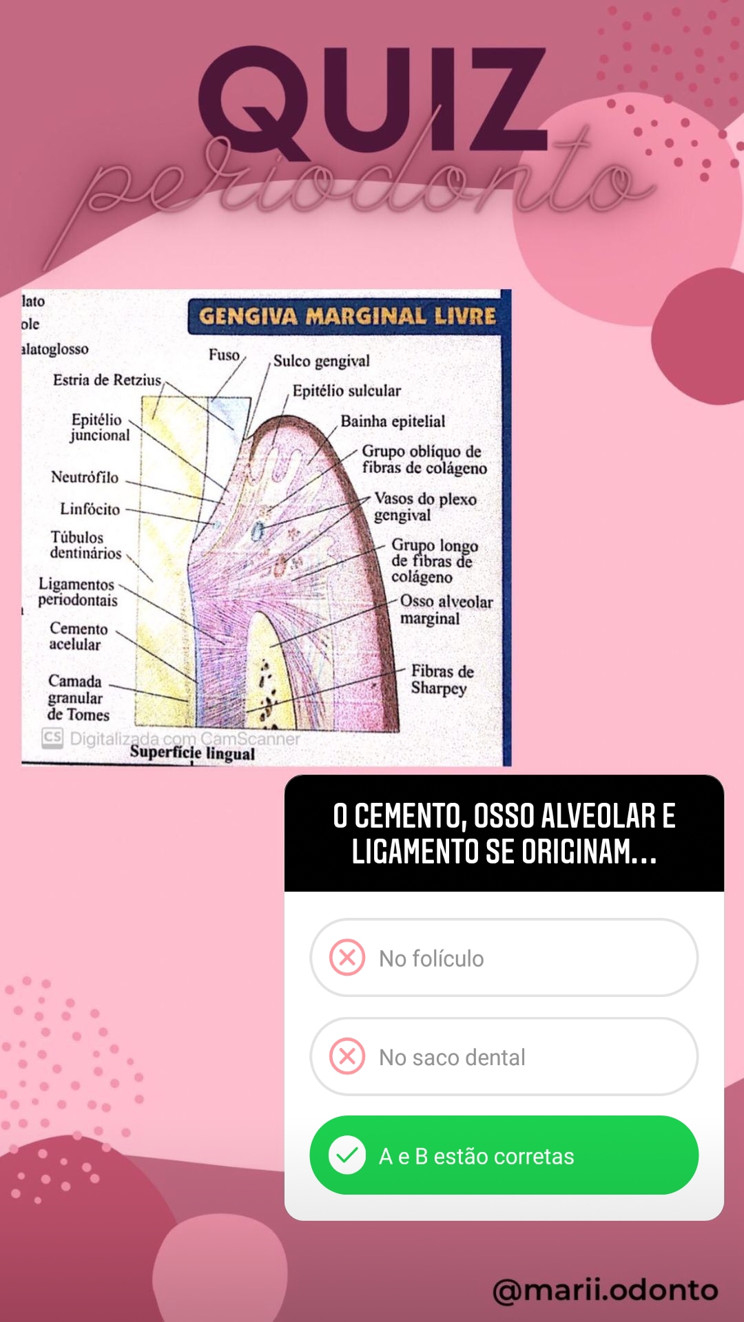 ANATOMÍA Quiz