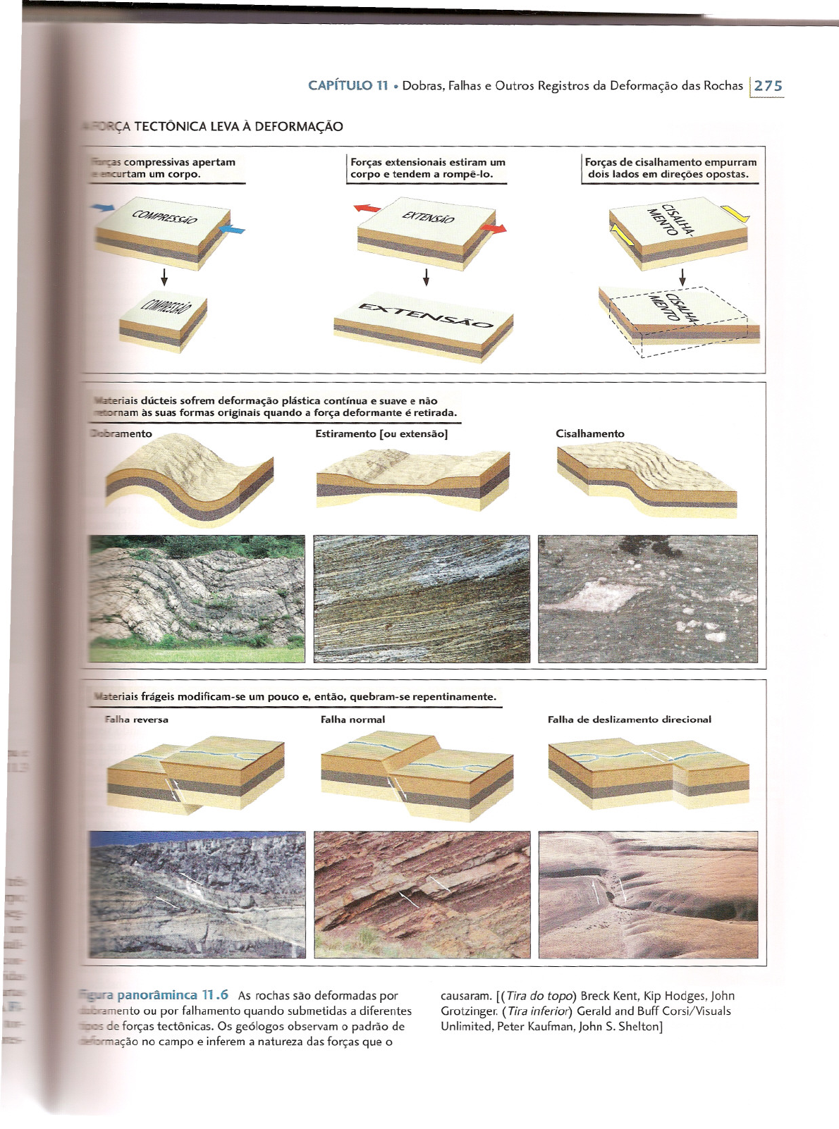 Grátis: dobras e falhas - Material Claro e Objetivo em PDF para Estudo  Rápido, image size:1190x1602