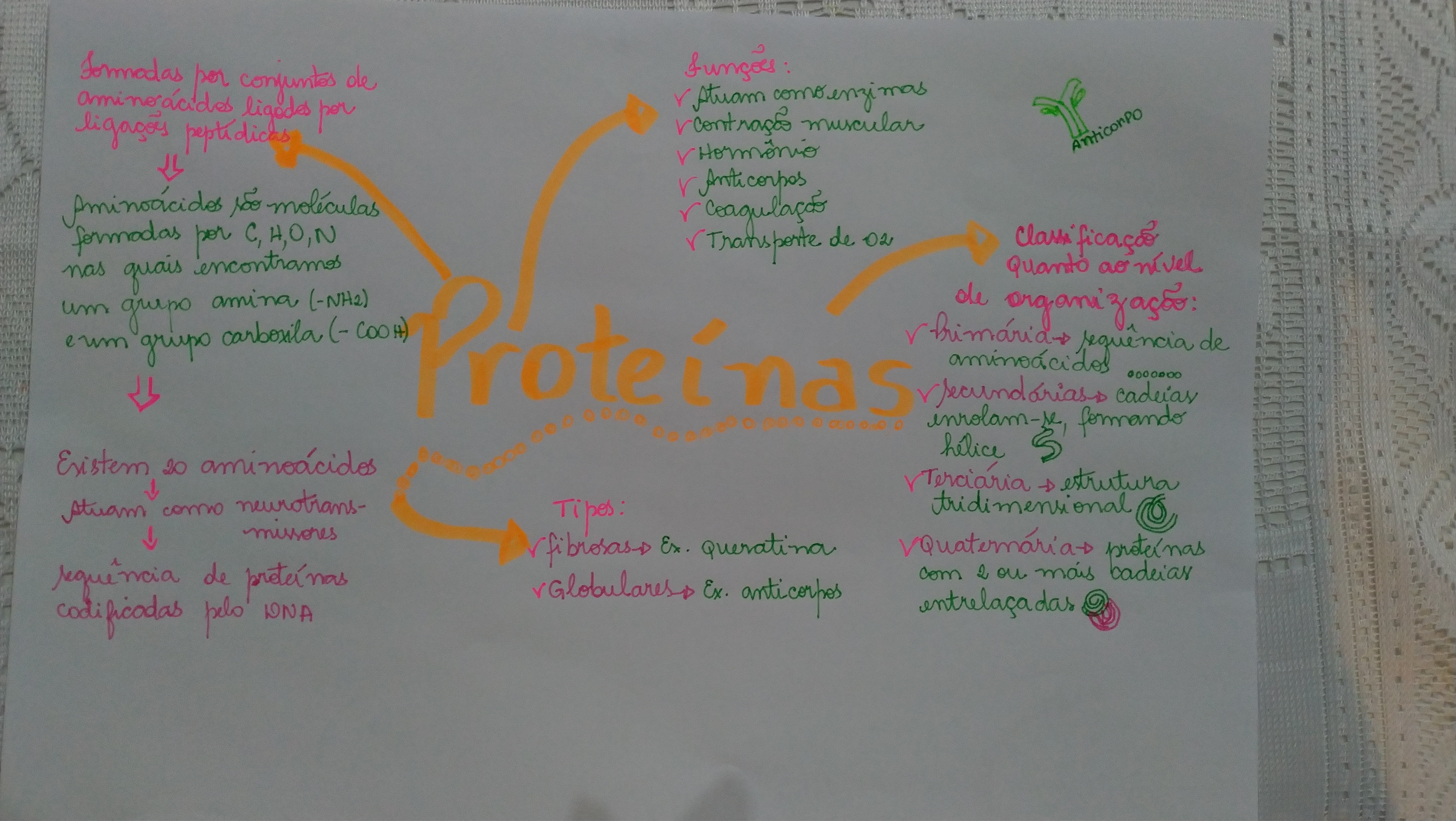 Proteínas - Mapa Mental - Biologia Celular