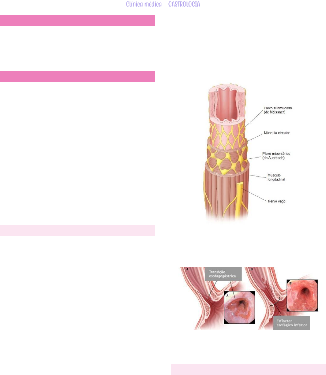 Resultados da dilatação endoscópica versus a cardiomiotomia em
