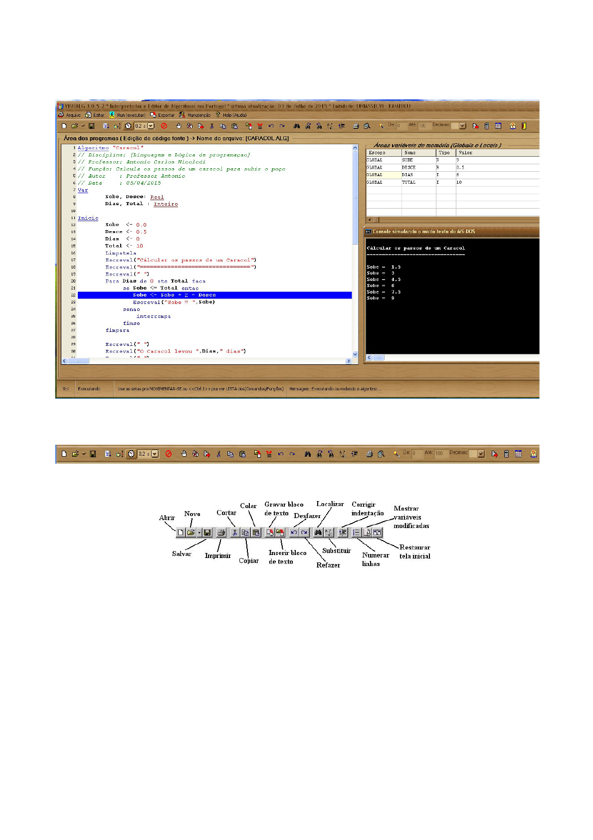 Código desenvolvido no VisualG 3.0
