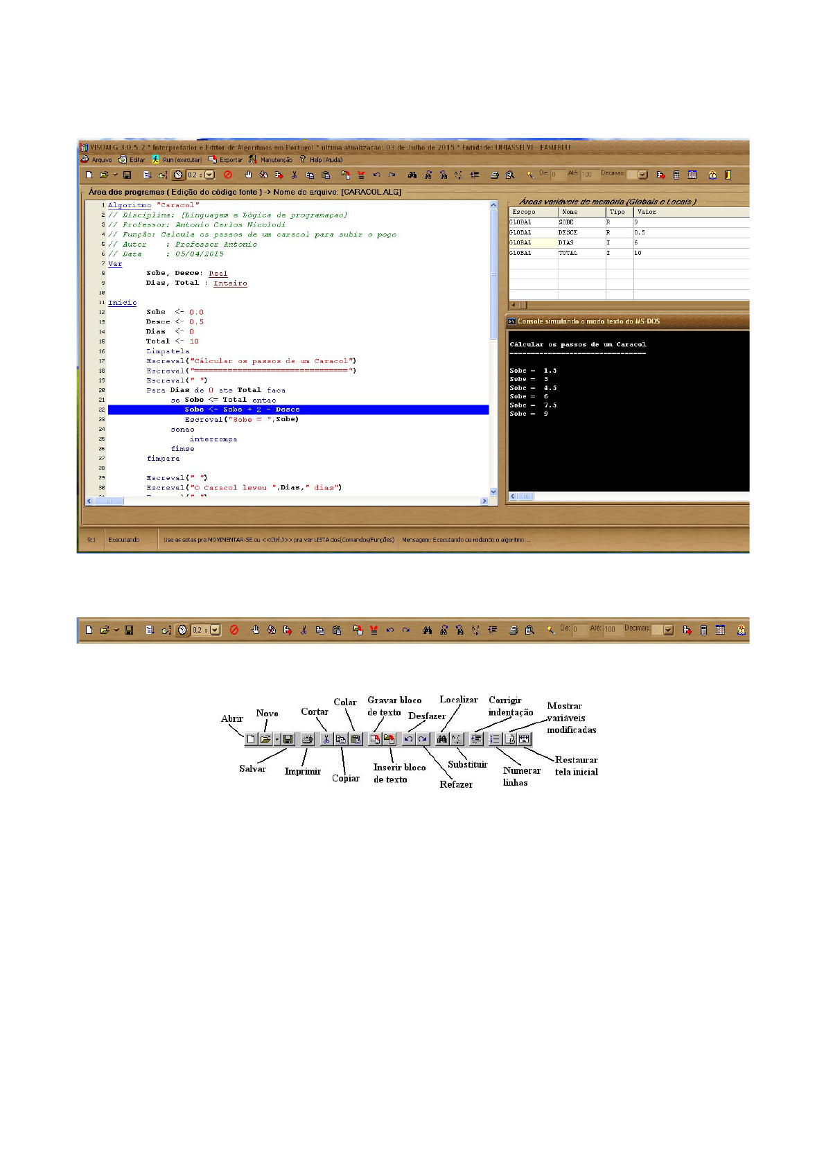 Analise o programa abaixo, escrito em VisuAlg 3.0:Caso ele s