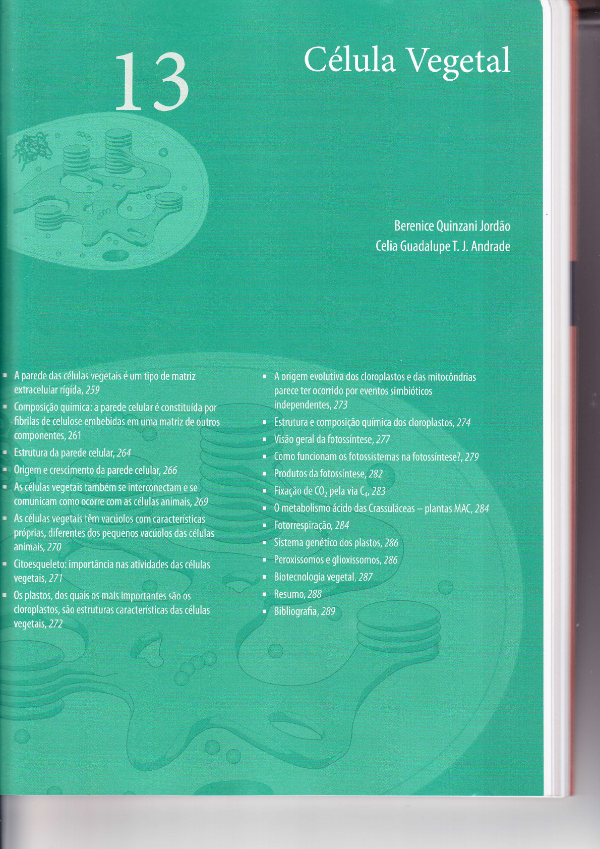 Tractian: Brio. - by Lucas Abreu - sunday drops, image size:1190x1683