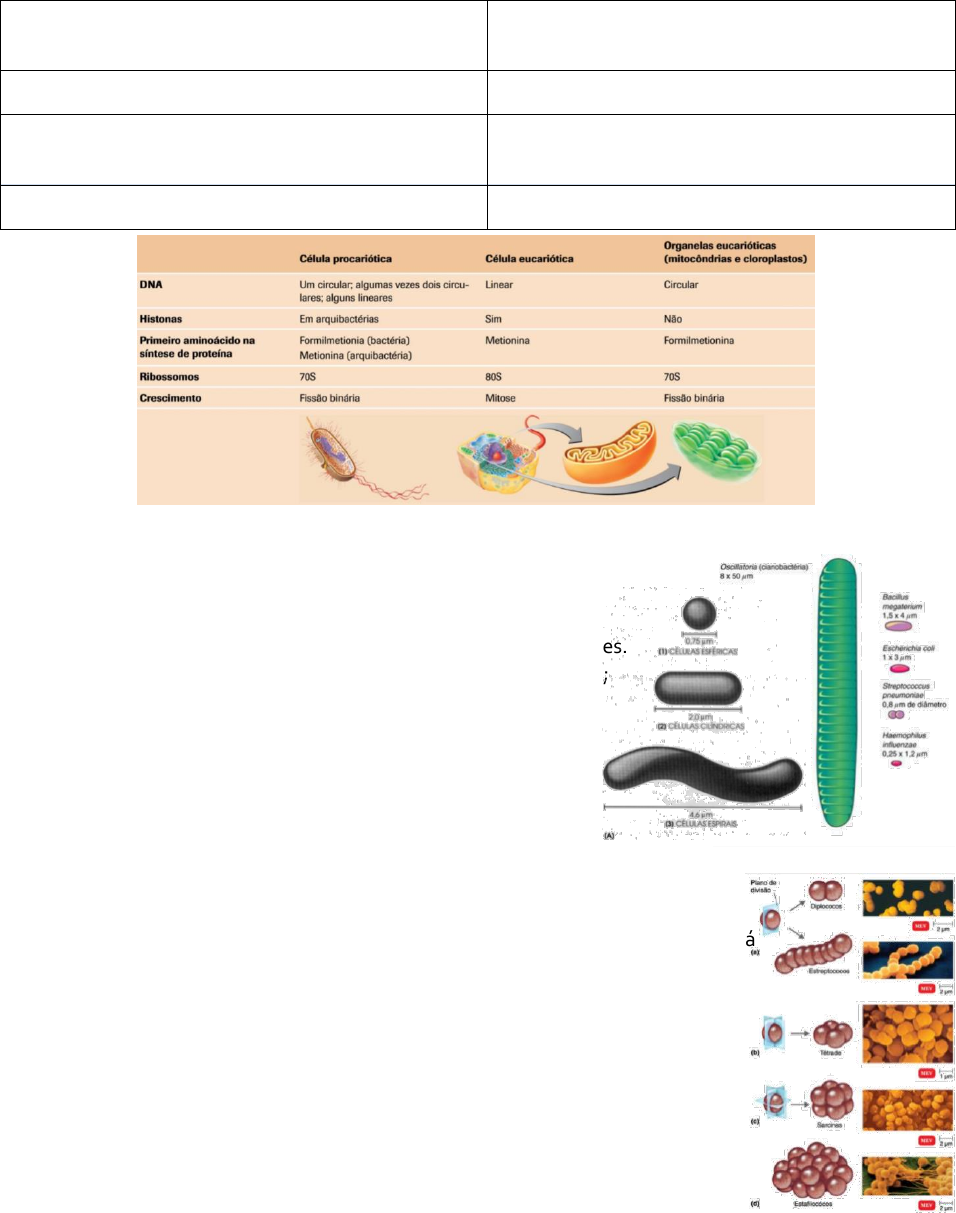 MS é genético? Decodifique seu DNA e aprenda sobre seus riscos!