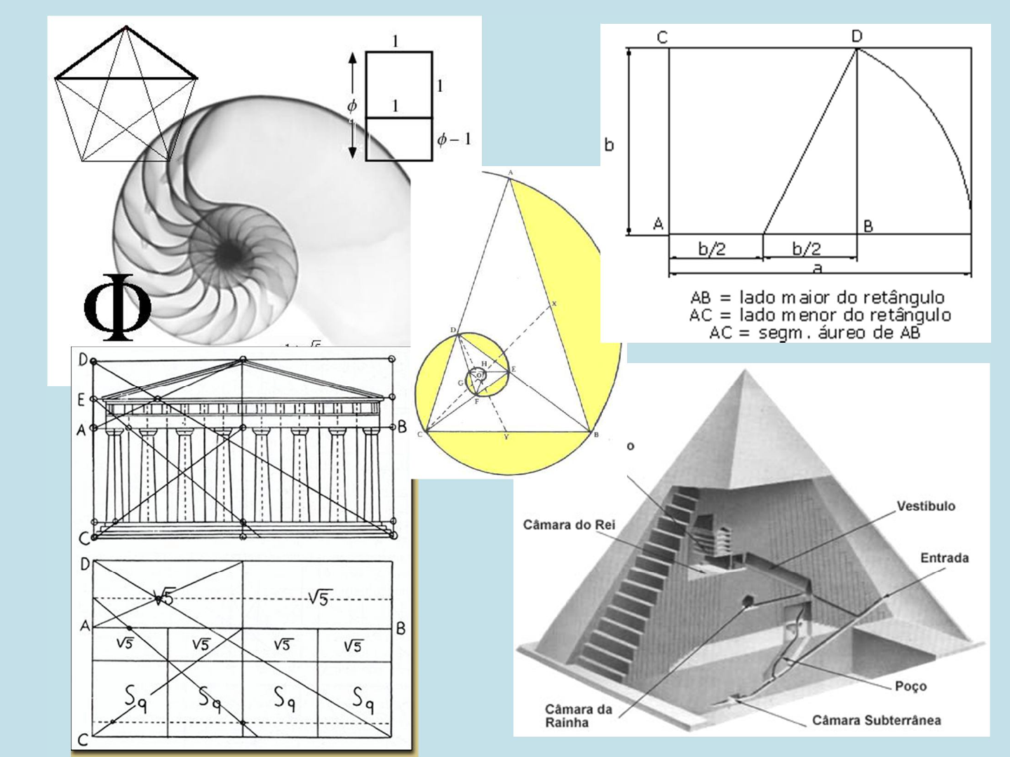 geometria sagrada pdf