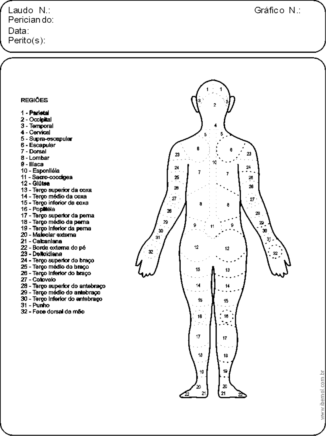 Grátis: REGIÕES DO CORPO HUMANO - Material Claro e Objetivo em PDF para  Estudo Rápido, image size:1137x1521