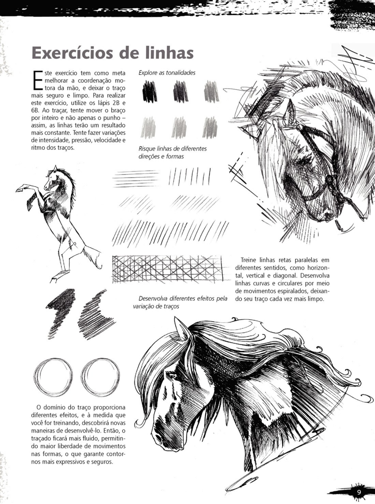 Guia Curso Básico De Desenho - Cavalos - SBS