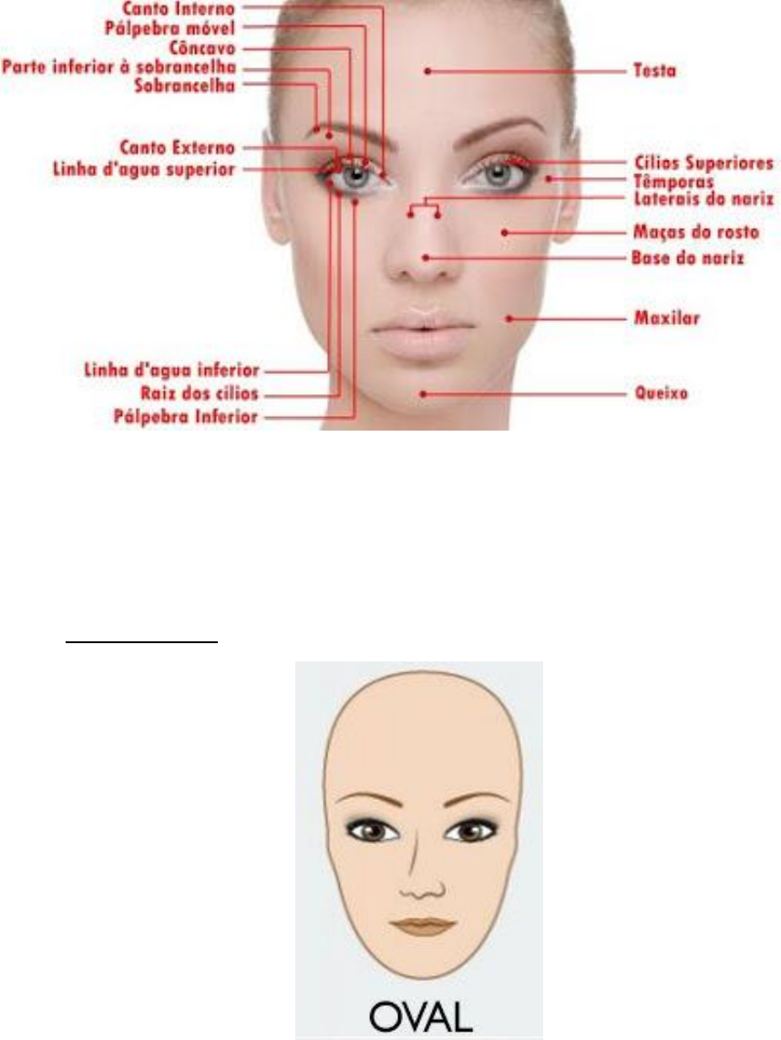 Temperamentos do visagismo  Visagismo rosto, Proporções faciais,  Sobrancelha