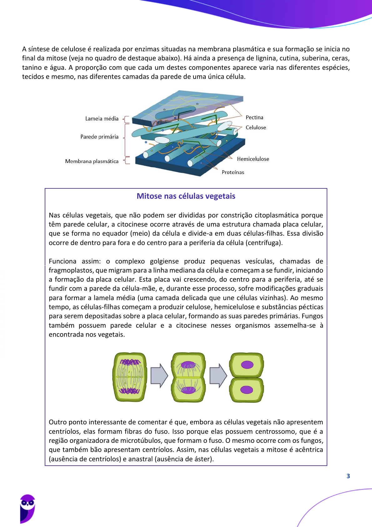Contagem de plantas de café gerada a partir do Modelo Digital de Altura  (diferença MDS–MDT). Mostro a comparação entre o ortomosaico e o modelo de  altura com os pontos de detecção sobrepostos, ..., image size:1190x1684