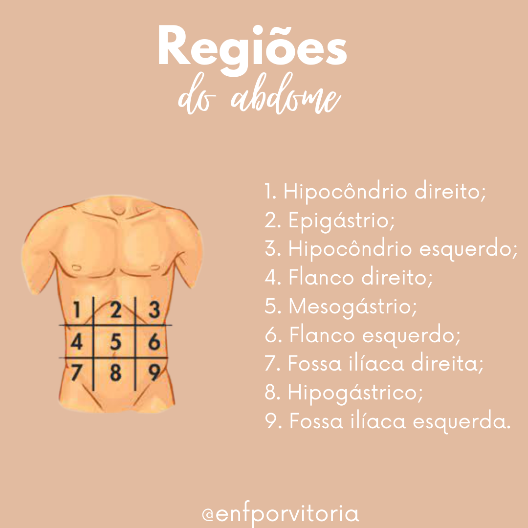 4 regiões do abdômen