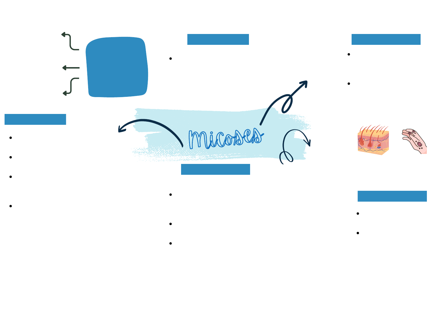 Micoses - Microbiologia