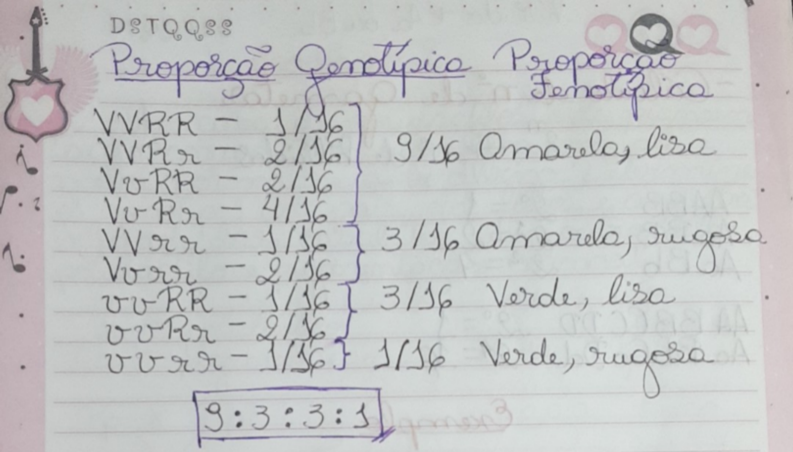 Proporção genotípica e fenotípica - segunda lei de Mendel - Biologia