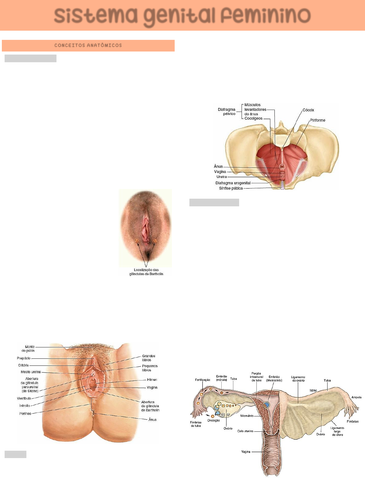 Anamnese Ham III 03-08 - Semiologia Médica