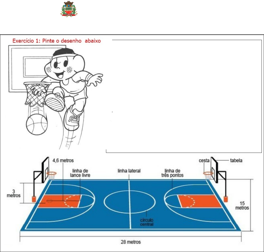 4 e 5º anos- regras do basquete - Didática da Educação Física