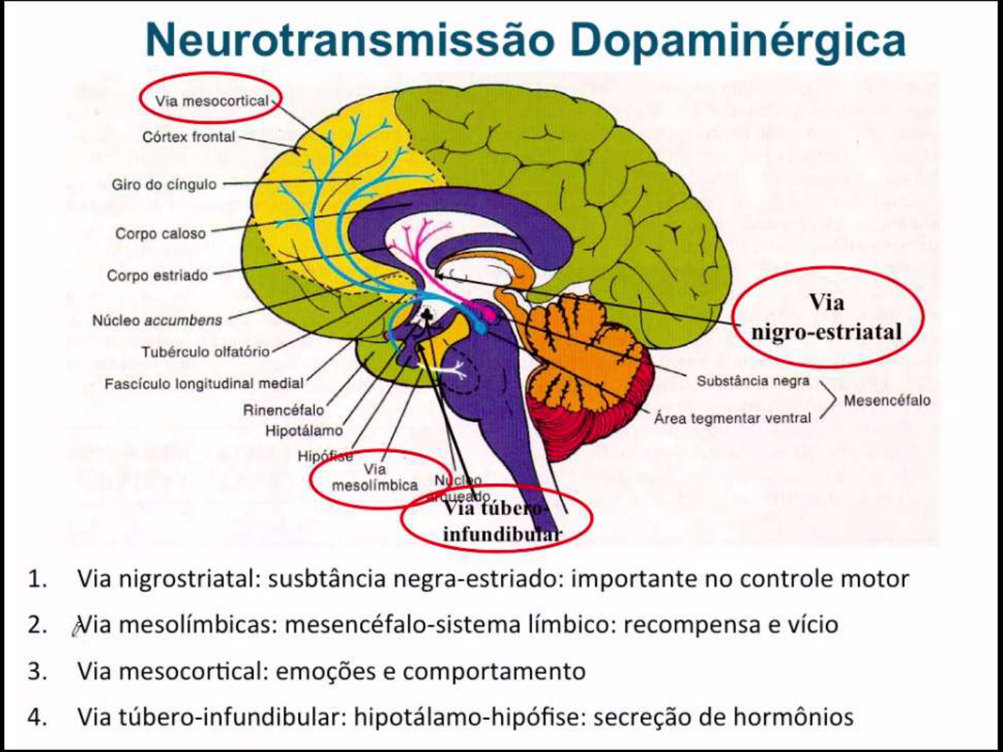 Aula 17 3 Doenças Neurodegenerativas Parkinson Farmacologia I