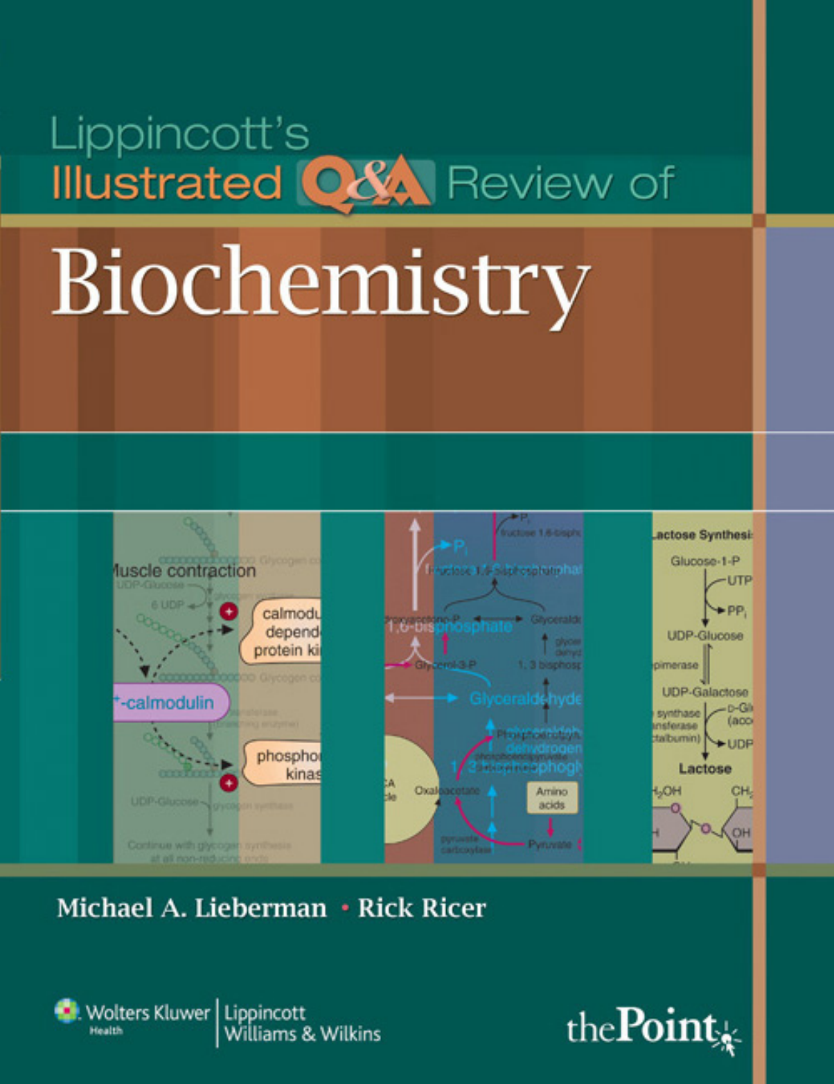 lippincott illustrated reviews biochemistry 5th edition pdf free download